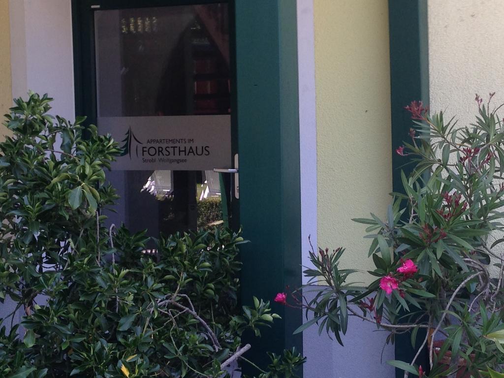 Im Forsthaus *