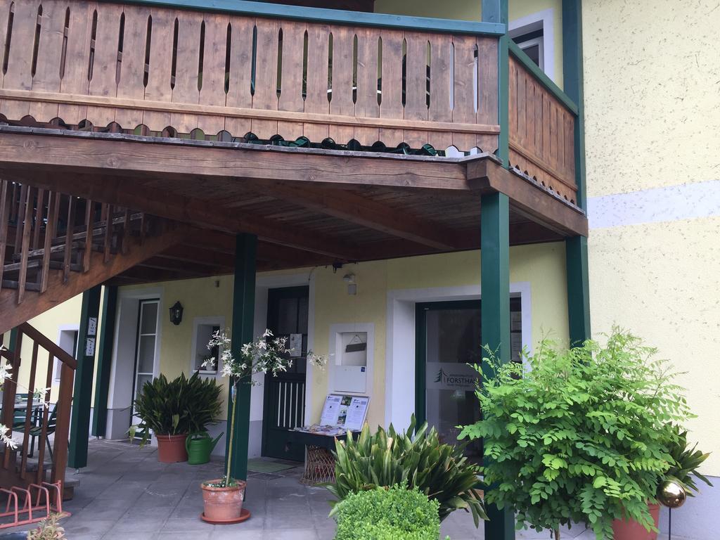 Im Forsthaus Appartement Strobl